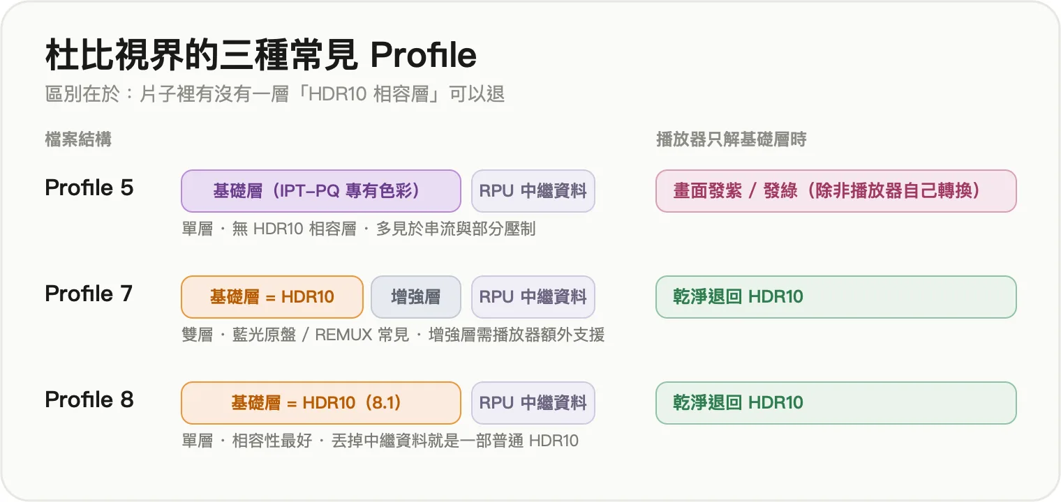 杜比視界 Profile 5 / 7 / 8 的結構差異與播放結果